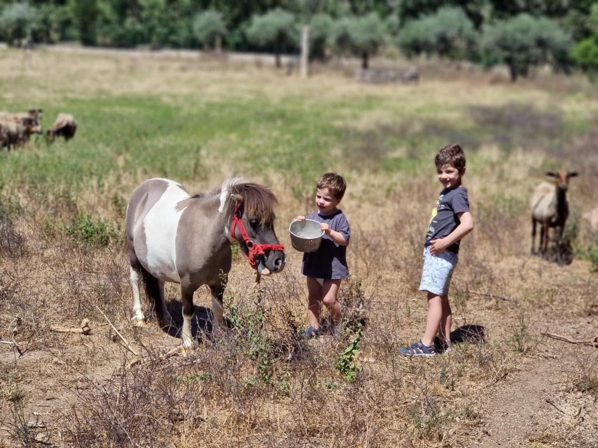 Arca Dos Animais - Farming & Spa Castelo Branco  Luaran gambar